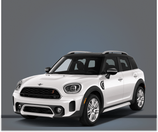 car-brand-mini-detailing