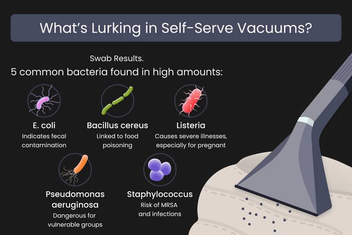 The Bacteria on Self Serve Car Vacuums 