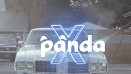 Panda X