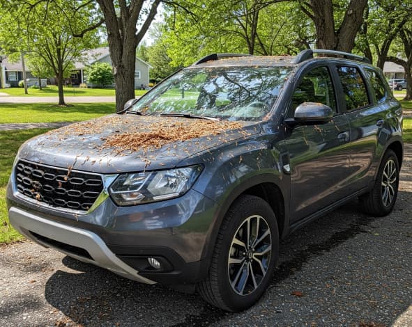 Tree Sap Removal Services: Panda Hub