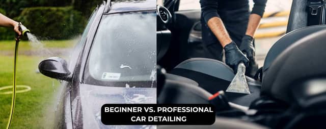 How Do Professional Detailers Differ from Beginners?