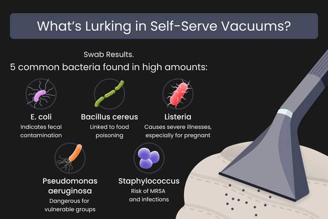 The Bacteria on Self-Serve Car Vacuums