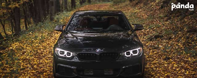 6 Essential Fall Car Care Tips from an Auto Detailing Expert [2025]