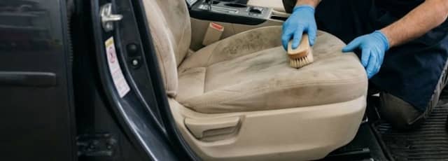 How to Get Mold Out of Your Car: Step-by-Step Guide