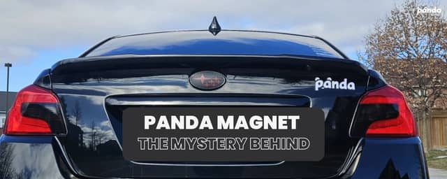 Our Panda Car Magnets - What Are They?