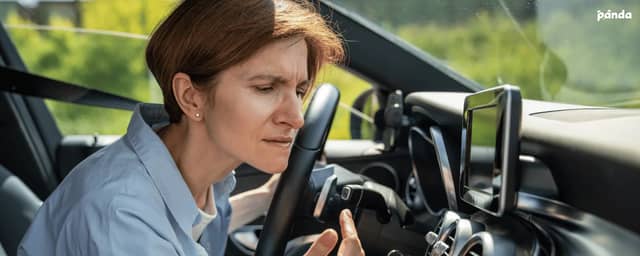 How To Get Rid of Musty Smell in a Car