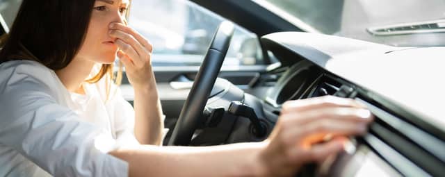 How to Remove Fish Smell and Stains From Car Interior