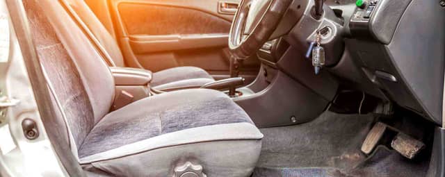 How to Get Rid of Ants and Roaches in Your Car: Pest Infestation in Car