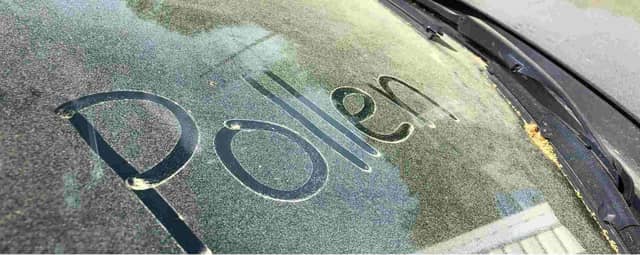 The Best Way To Remove Pollen on Cars
